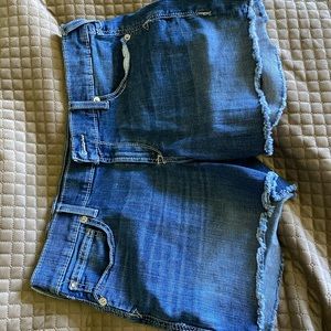 NWOT. Ariat boyfriend shorts.